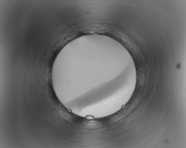X0000116630467201001081256