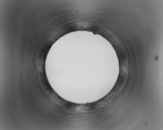 X0000116630468201001081256
