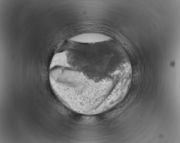X0000116630469201001081256