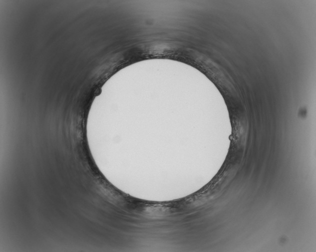 X0000116630470201001081256