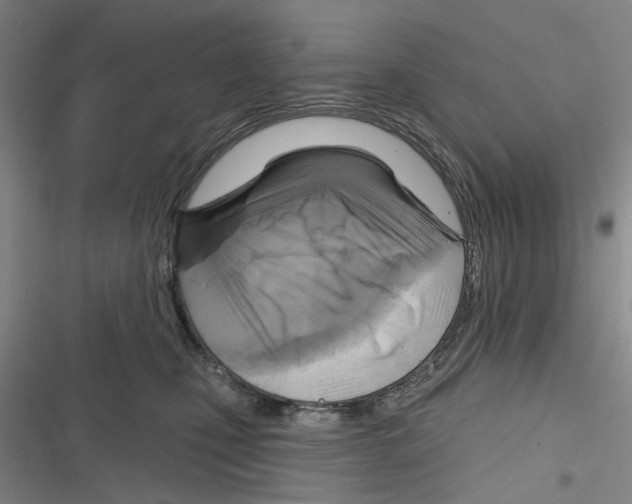 X0000116630471201001081256