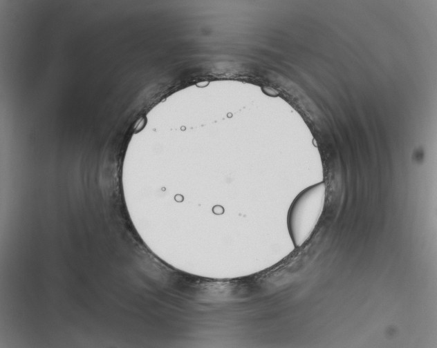 X0000116630473201001081256