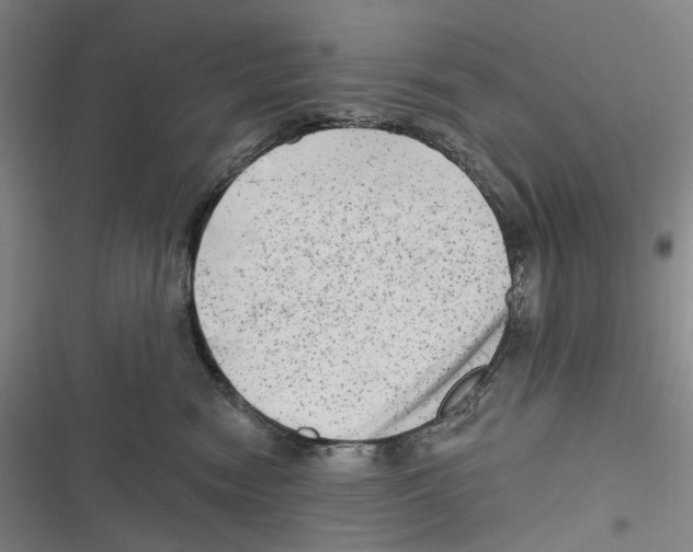 X0000116630474201001081256