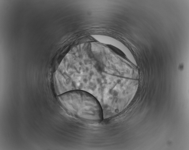 X0000116630475201001081256