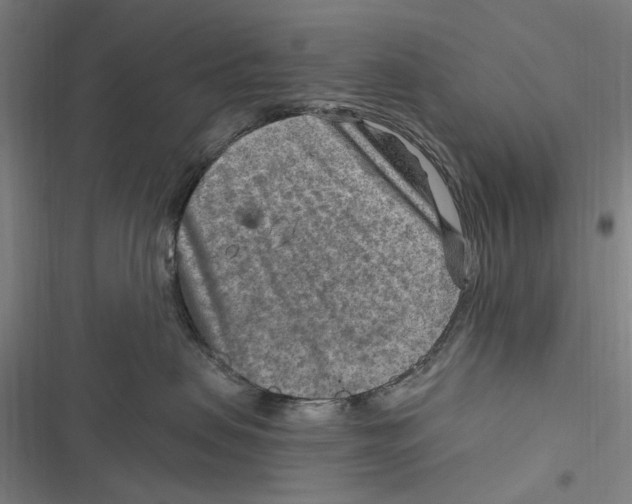 X0000116630479201001081256