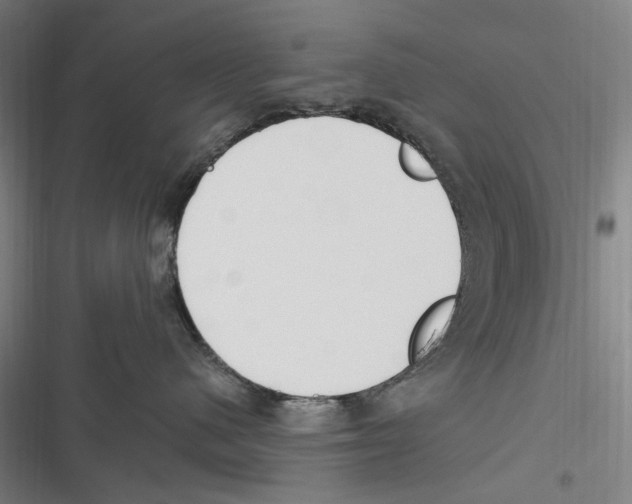 X0000116630480201001081256