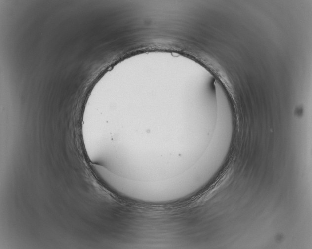X0000116630481201001081256