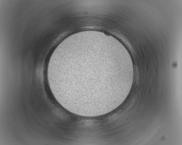 X0000116630482201001081256