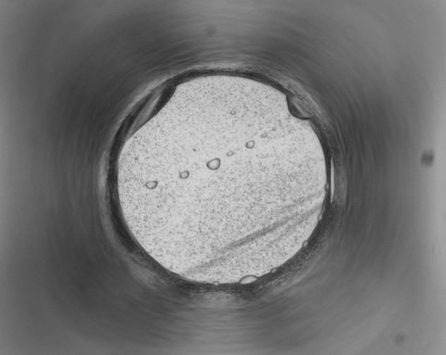 X0000116630483201001081256