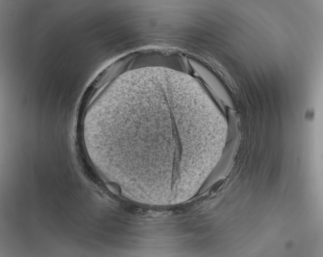 X0000116630484201001081256