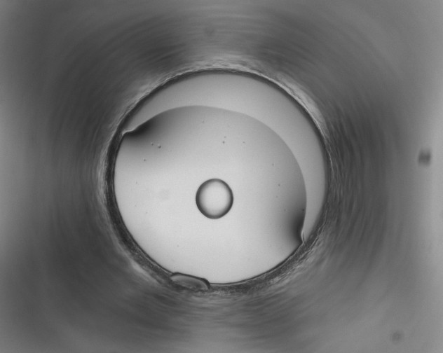 X0000116630485201001081256