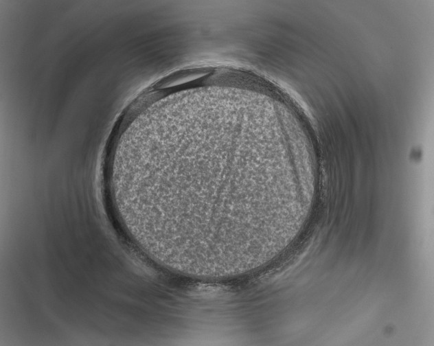 X0000116630487201001081256