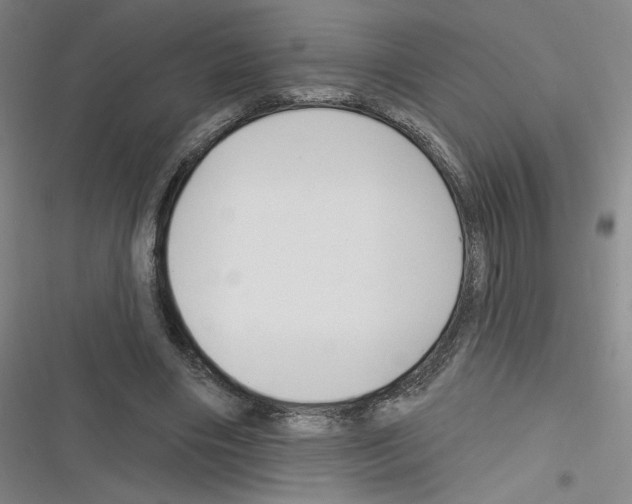 X0000116630490201001081255