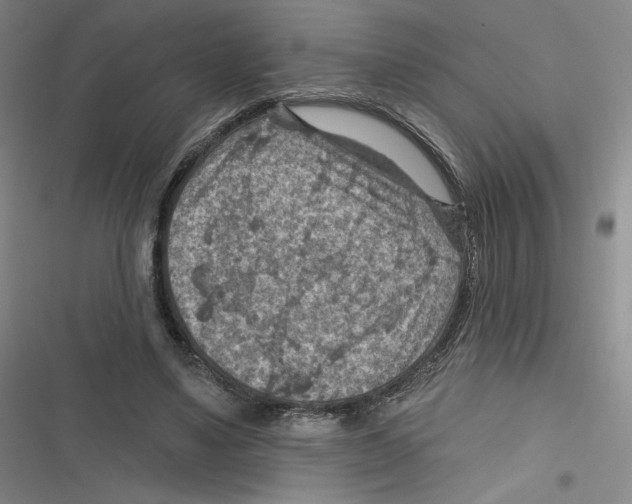 X0000116630491201001081255