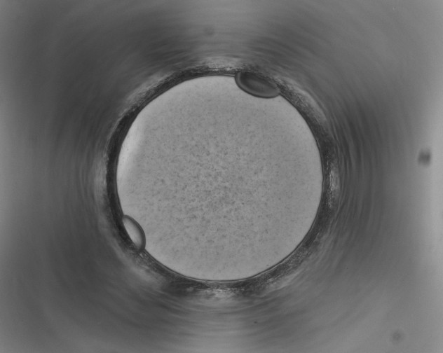 X0000116630492201001081255