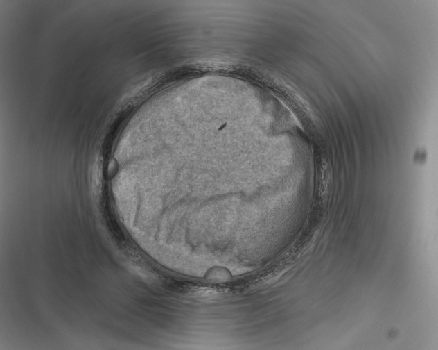 X0000116630494201001081255
