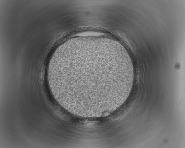 X0000116630495201001081255