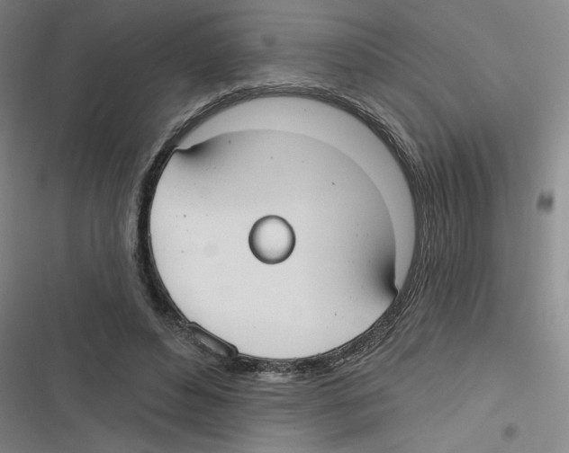 X0000116630496201001081255