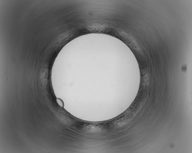 X0000116630498201001081255