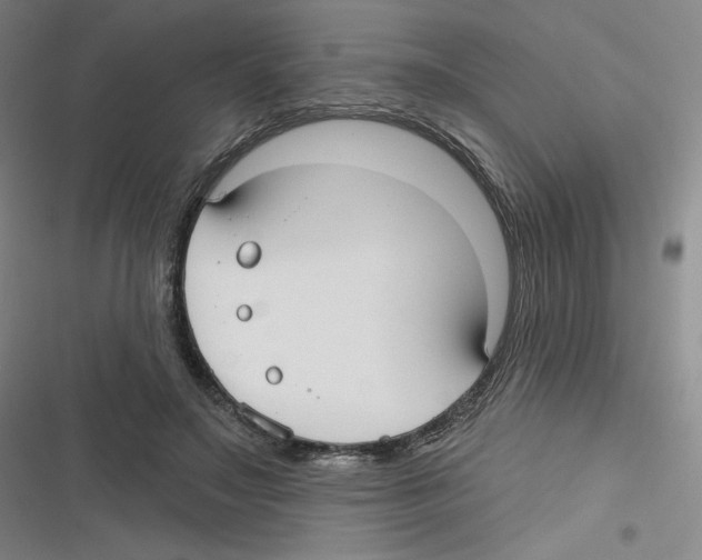X0000116630499201001081255