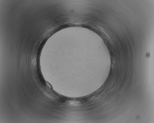 X0000116630500201001081255