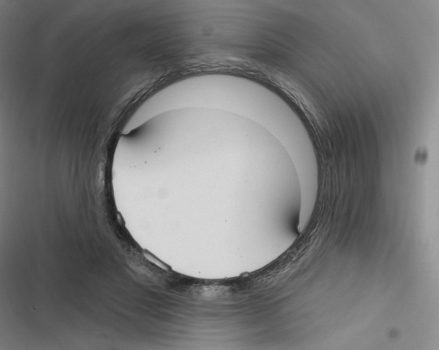 X0000116630501201001081255
