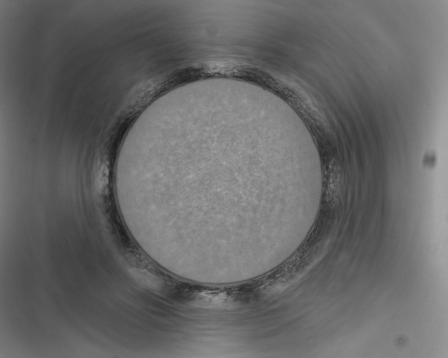 X0000116630502201001081255