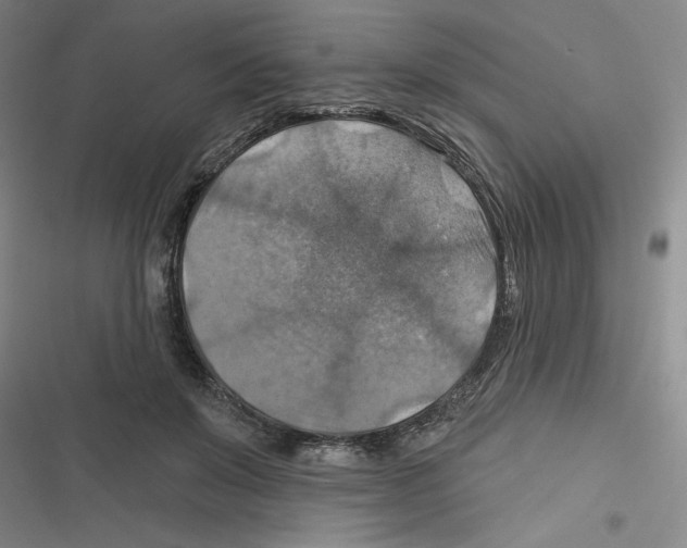 X0000116630503201001081255