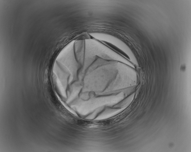 X0000116630504201001081255