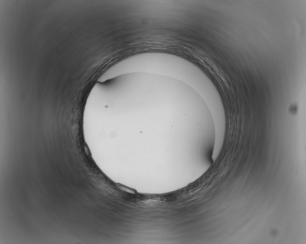 X0000116630505201001081255