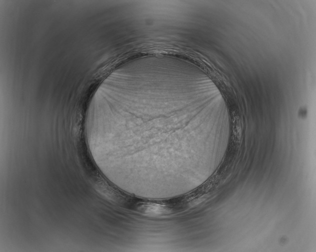 X0000116630507201001081255