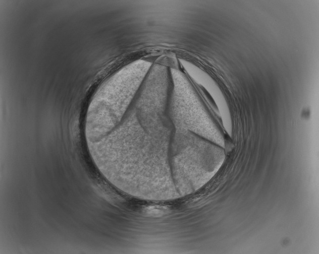 X0000116630508201001081255