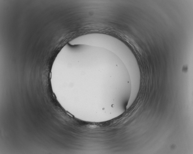 X0000116630509201001081255