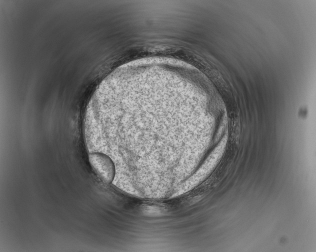 X0000116630510201001081255