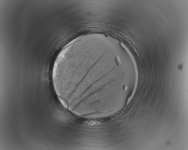 X0000116630512201001081255