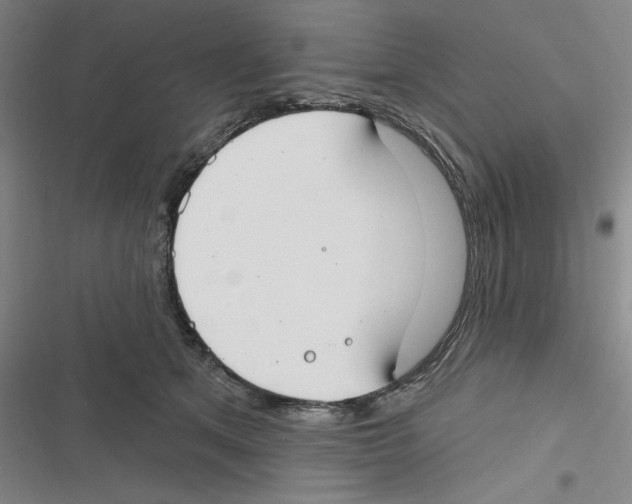 X0000116630513201001081255