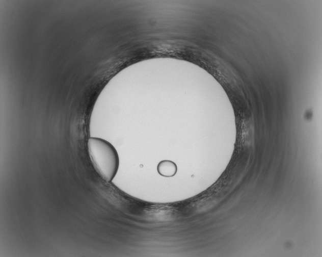 X0000116630514201001081255
