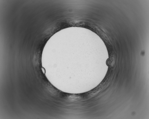 X0000116630515201001081255