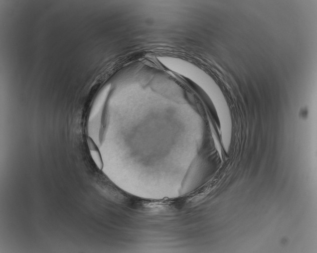 X0000116630516201001081255