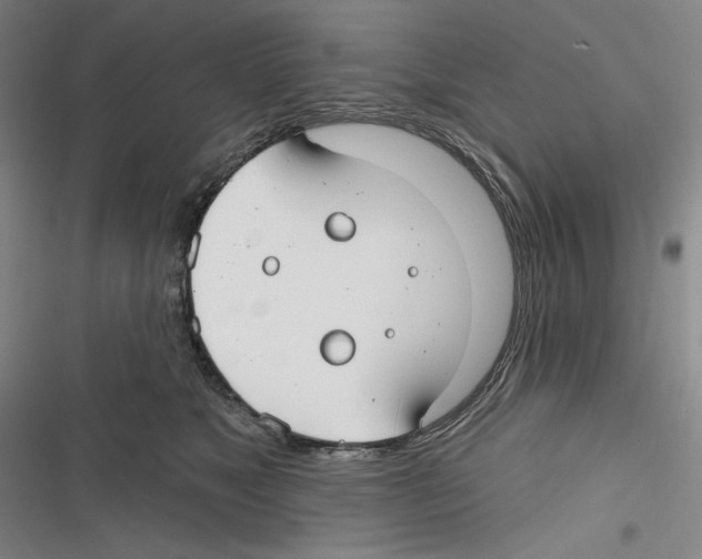 X0000116630517201001081255