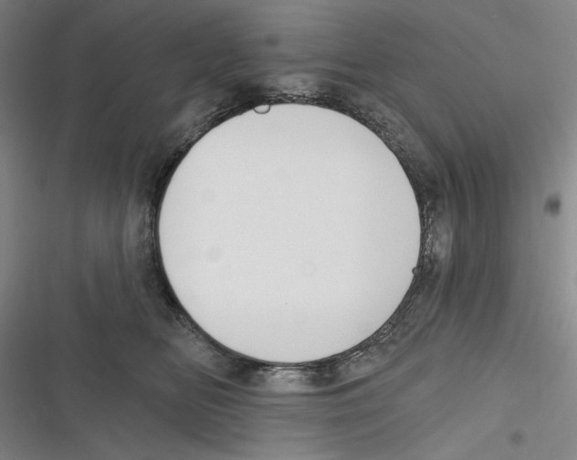 X0000116630518201001081255