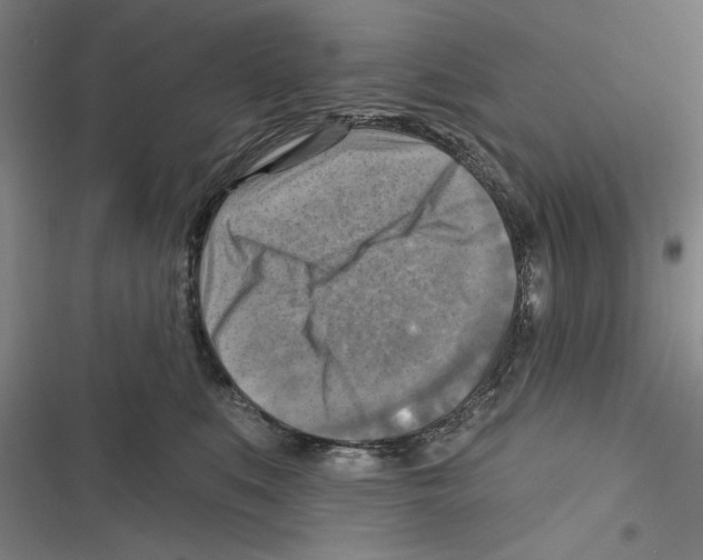 X0000116630519201001081255