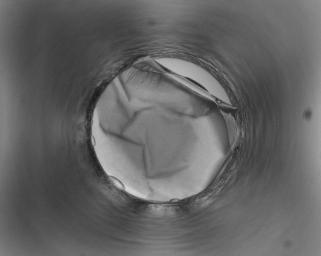 X0000116630520201001081255