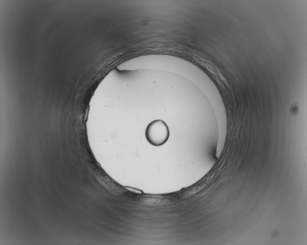 X0000116630521201001081255