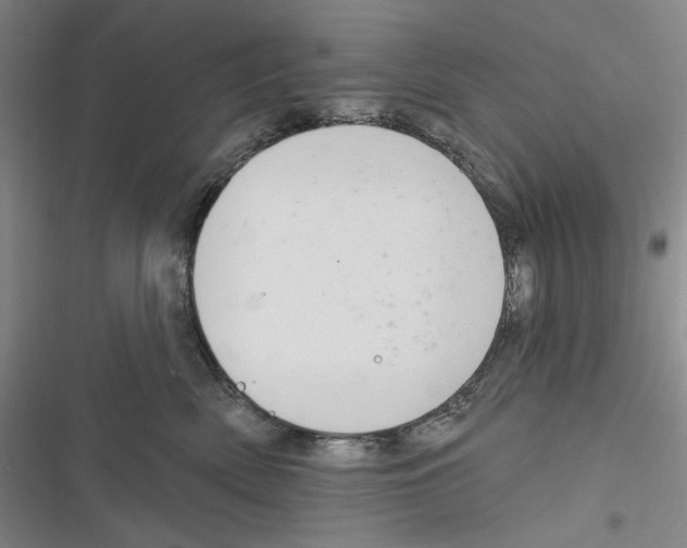 X0000116630522201001081255