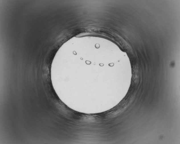 X0000116630523201001081255