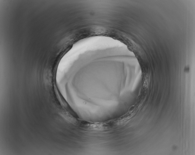X0000116630524201001081255