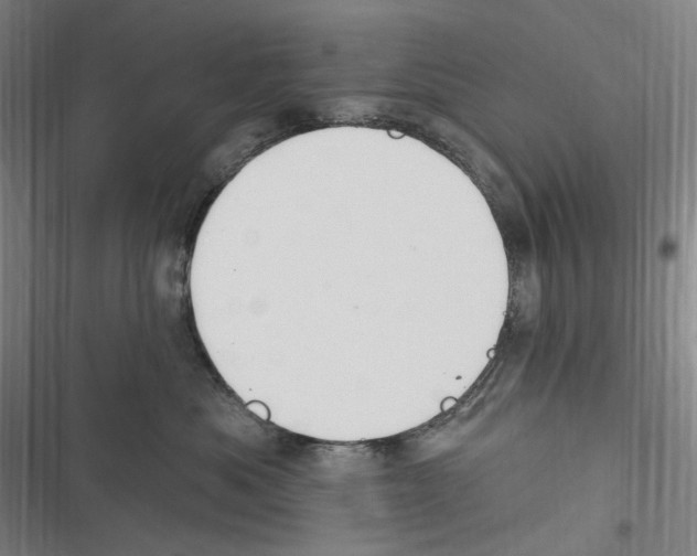 X0000116630525201001081255