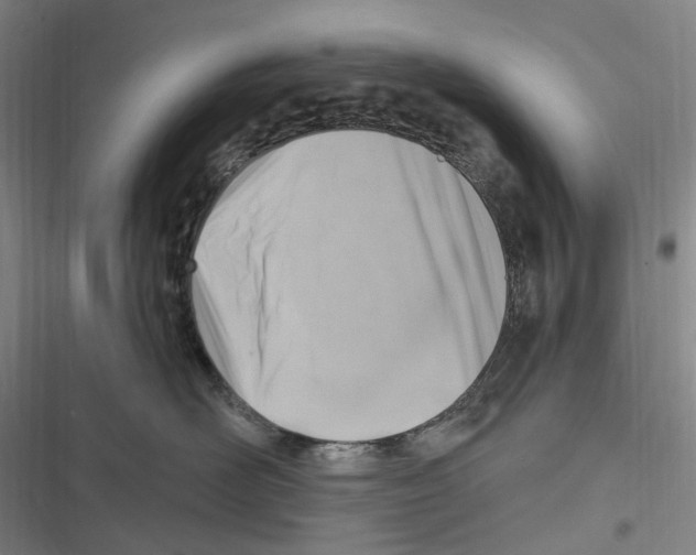 X0000116630526201001081255