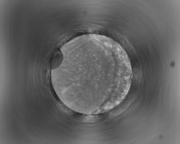 X0000116630527201001081255